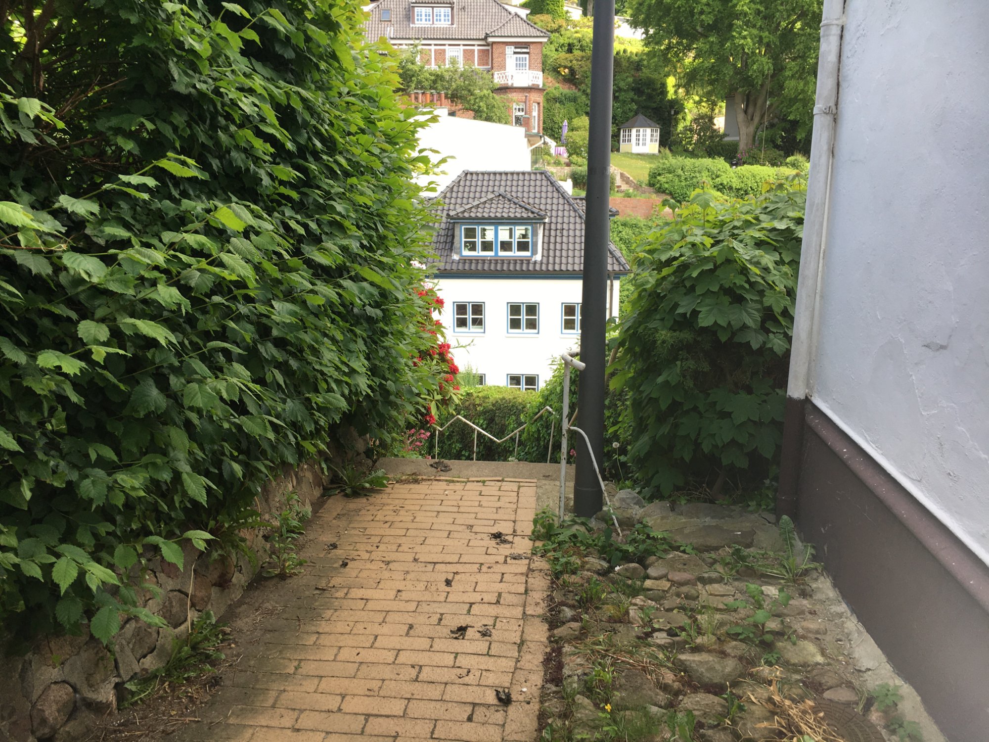 Die 10 schönsten Treppen im Treppenviertel